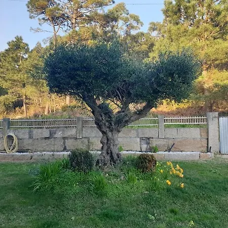 Apartamento D'as Baladas 庞特维德拉